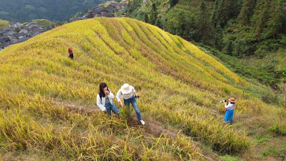 J13 – Autour de Guilin : les rizières de Ping-an